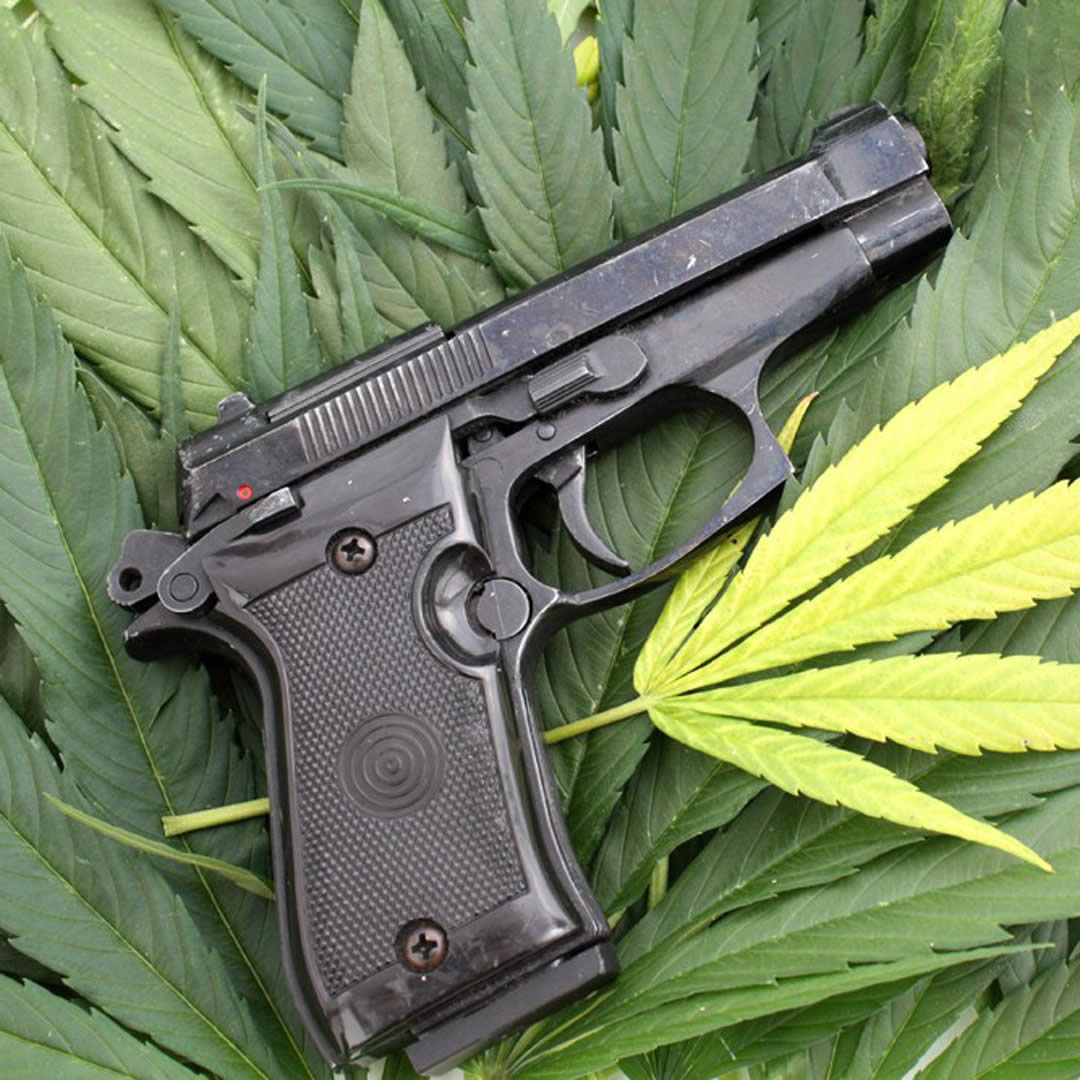 news marijuana and guns